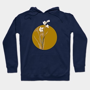 Vintage Painted Lady Botanical Illustration on Circle Hoodie